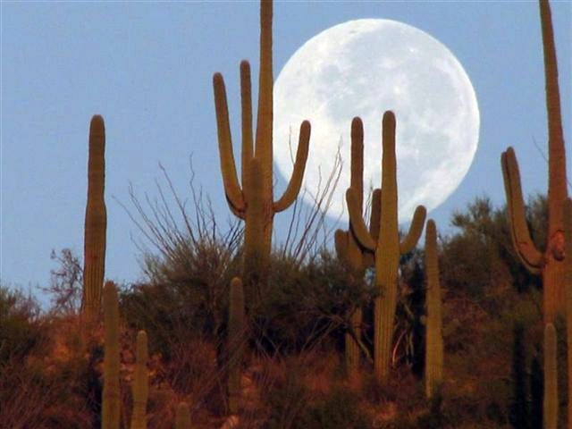 It has never rained on June 11 in Phoenix. Could it happen this year? Here's what to know