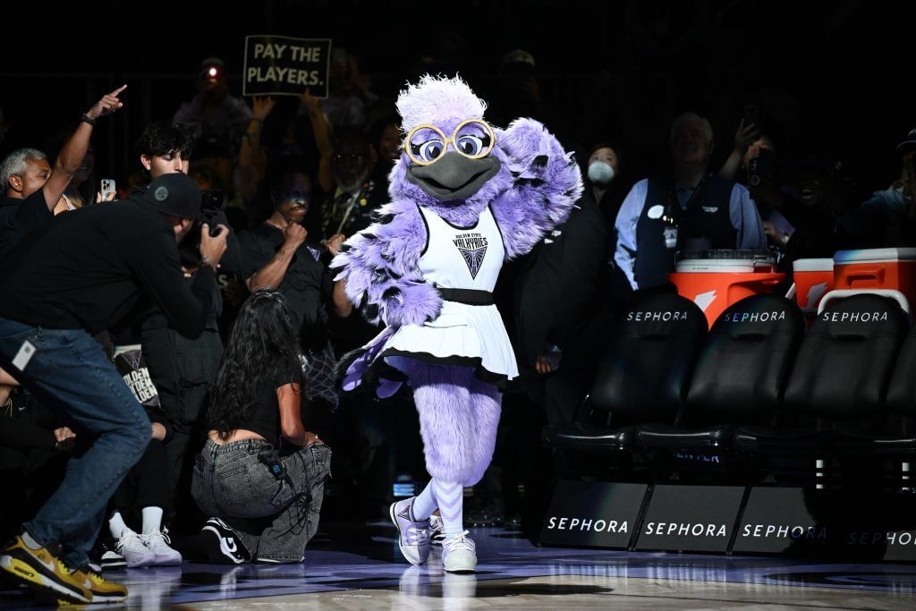 The Atlanta Dream are now the only WNBA team without a mascot. We have a few ideas for them