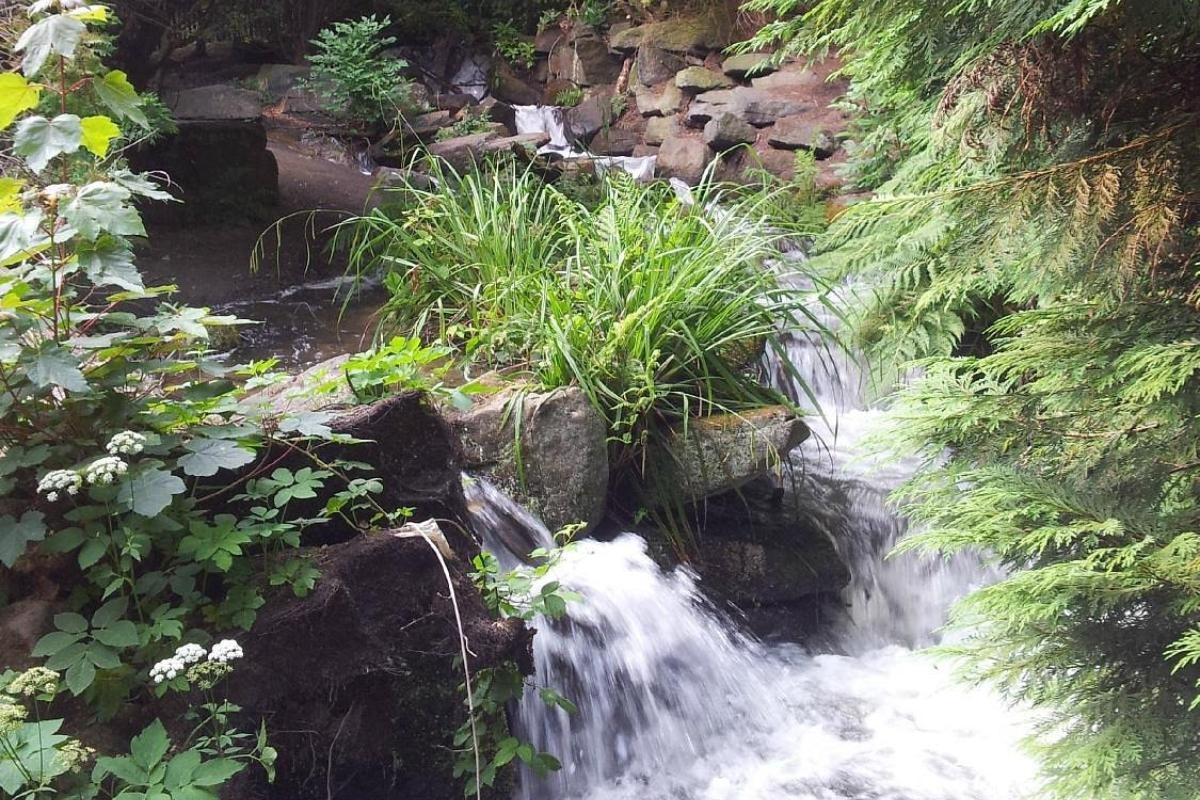 Walking trail 30 minutes from Bolton named among best in the UK for families