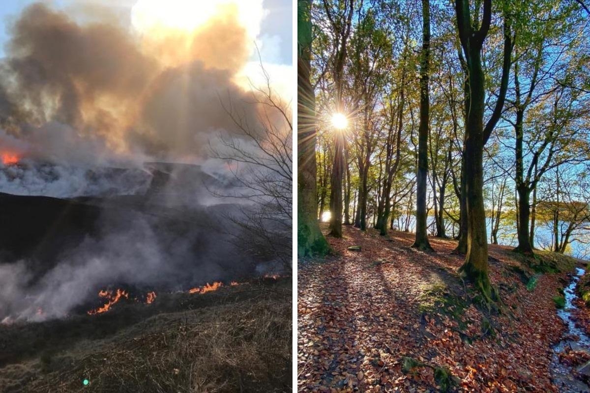 Moorlands ravaged by wildfires set to be brought back to life with new scheme