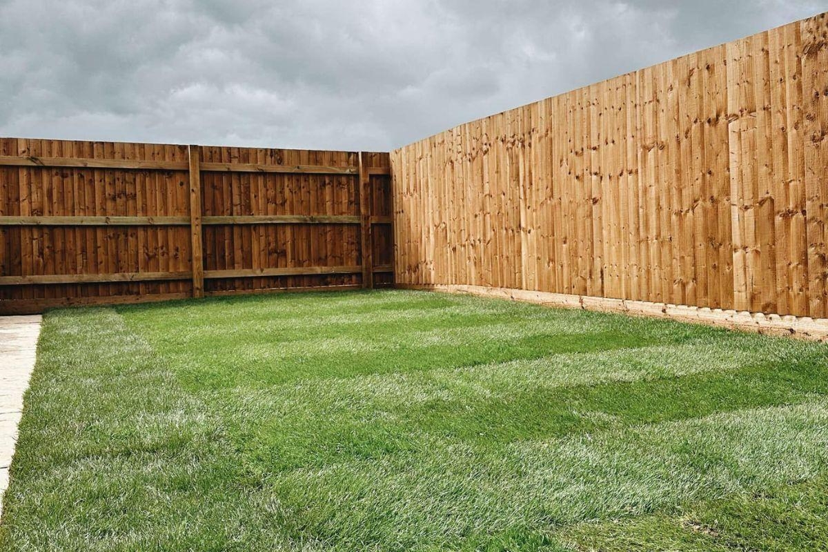 When should you start cutting the grass after winter? Garden expert explains