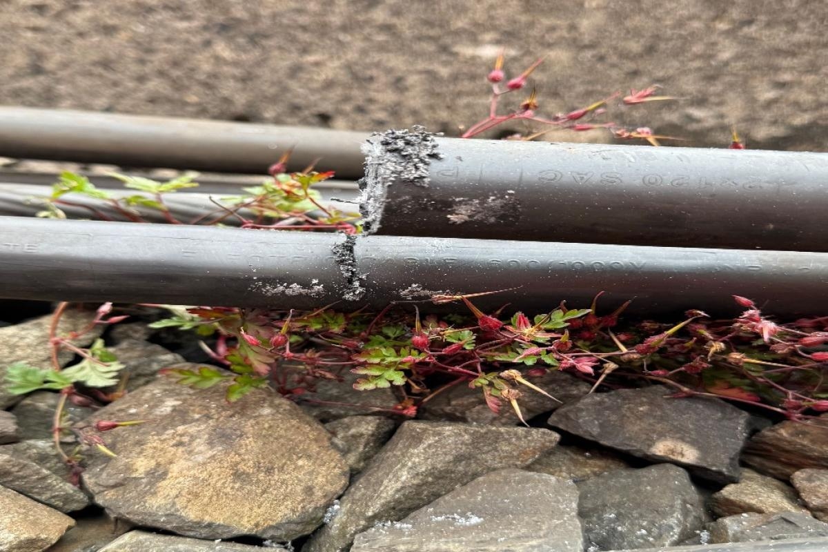 Train services across North West facing disruption after 'delibrate act of vandalism'