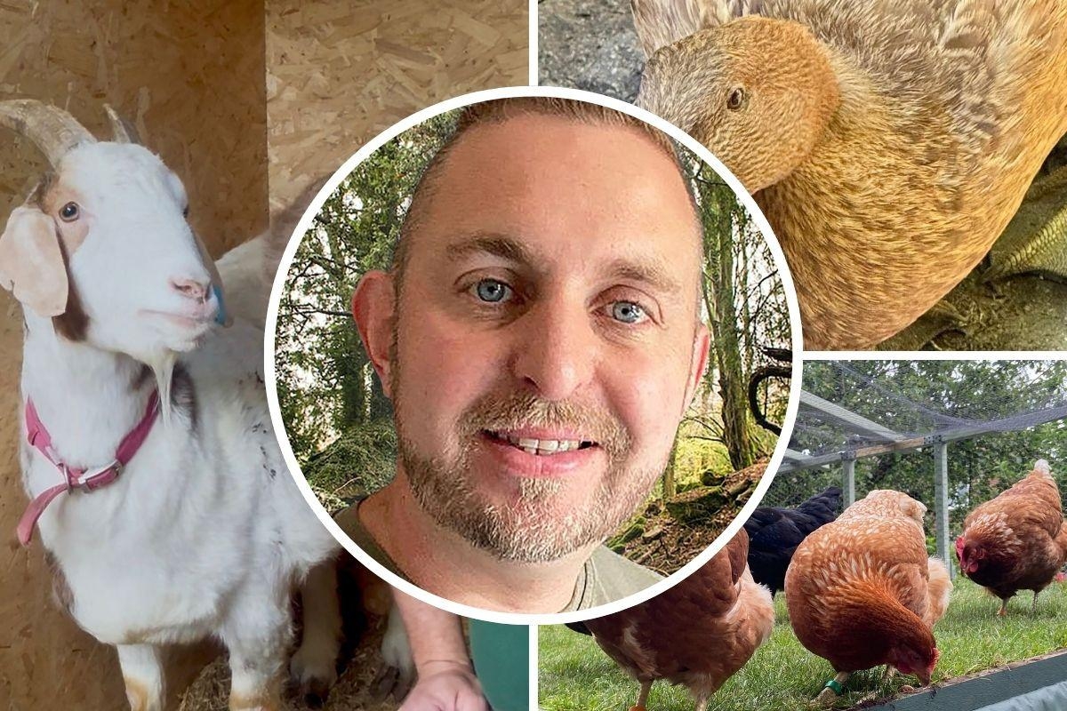 'Absolutely devastating' sanctuary break-in sees several animals dead