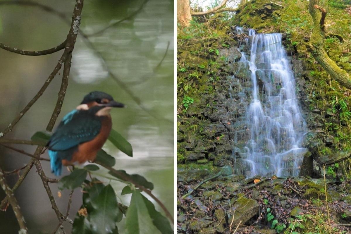 Walk the stunning Bolton trail leading to the 'jewel of our rivers'