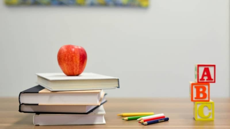 Education trust fund proposed to replace school property taxes