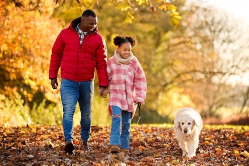 A traffic-light system for dogwalkers could protect breeding birds, seal pups and other wildlife
