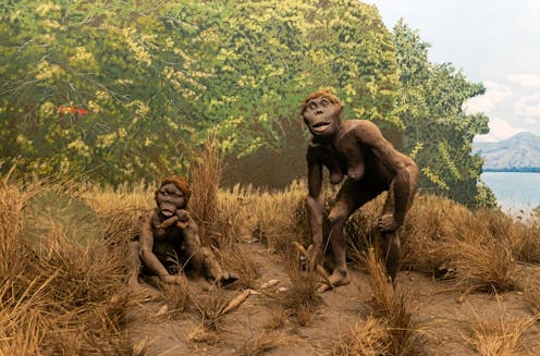 We modelled how early human ancestors ran – and found they were surprisingly slow