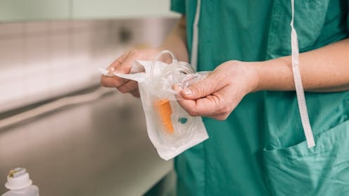 We found a germ that ‘feeds' on hospital plastic