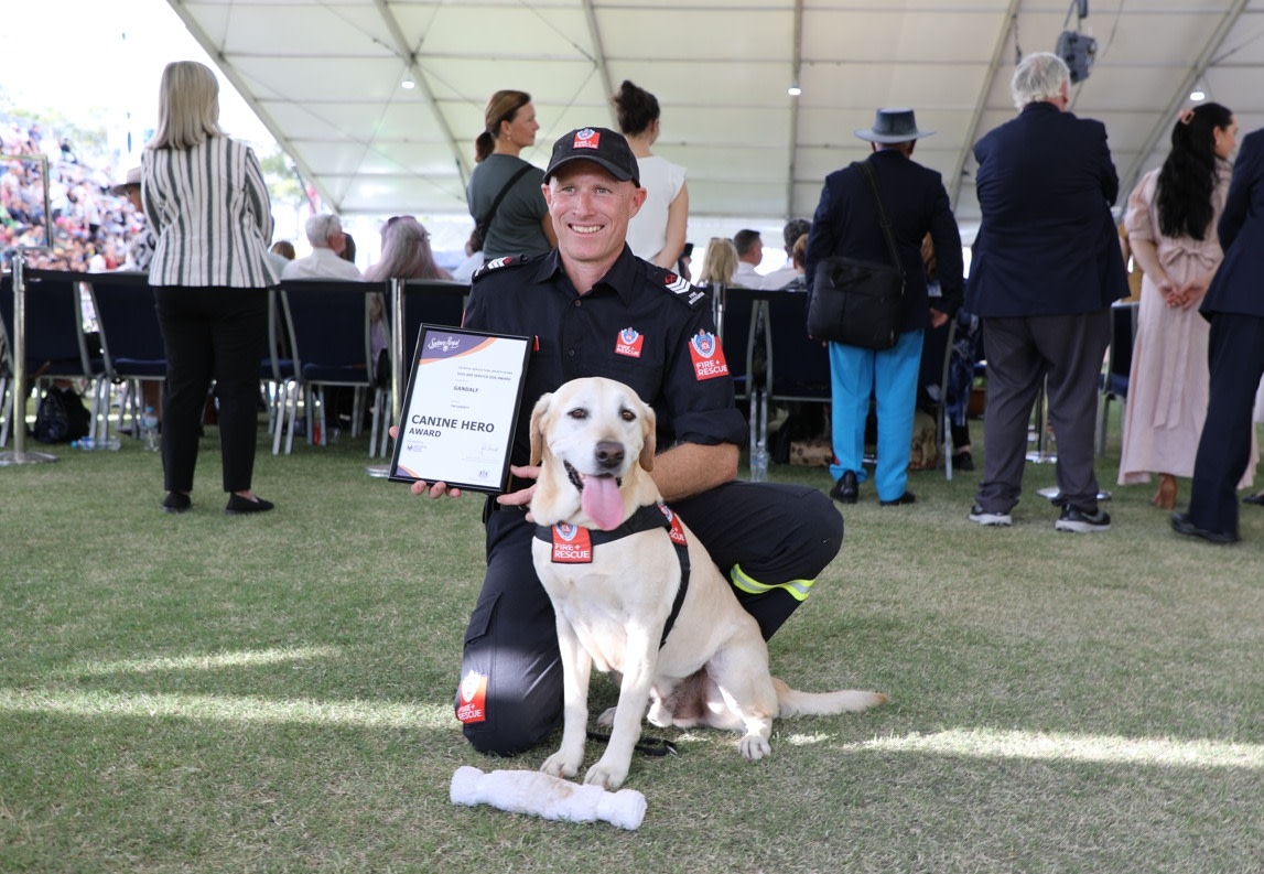 Hero dog honored after legendary career catching criminals: 'He's responsible for putting a lot of people in jail'