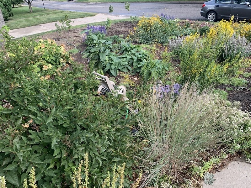 Local officials slam woman with $2,000 fine for unconventional front lawn: 'That front yard looks hideous'