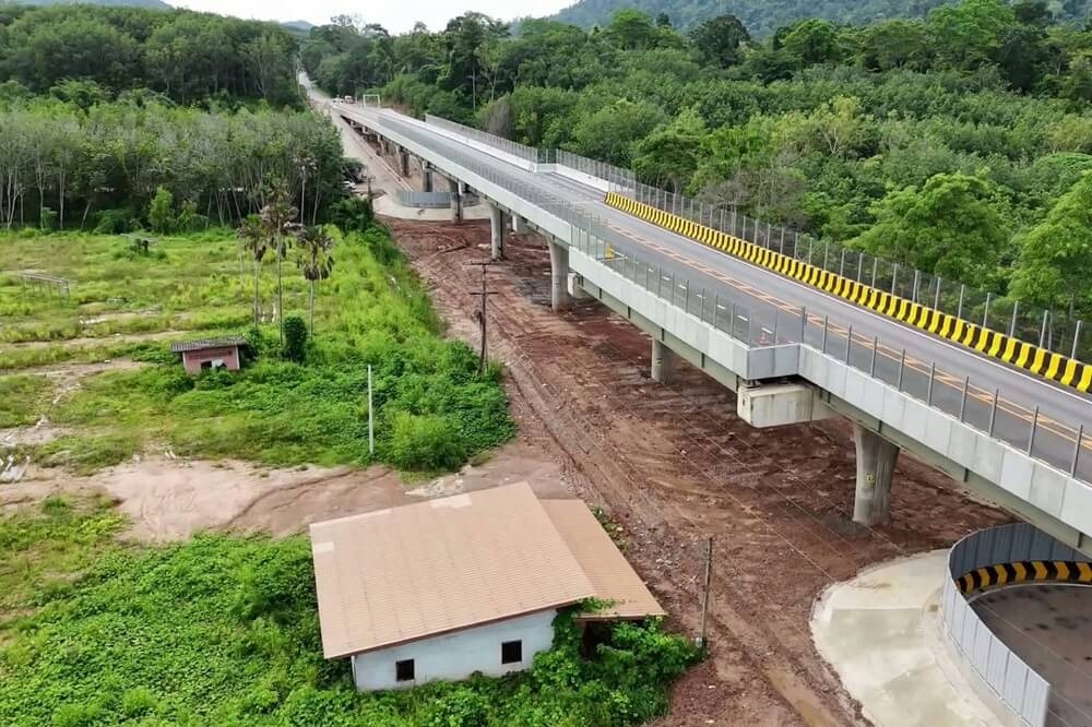 Officials unveil innovative highway structure designed for extraordinary travelers: 'They are lifelines'