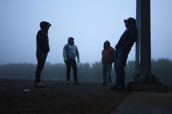 Trump's Deportations Will Hit American Workers, Too