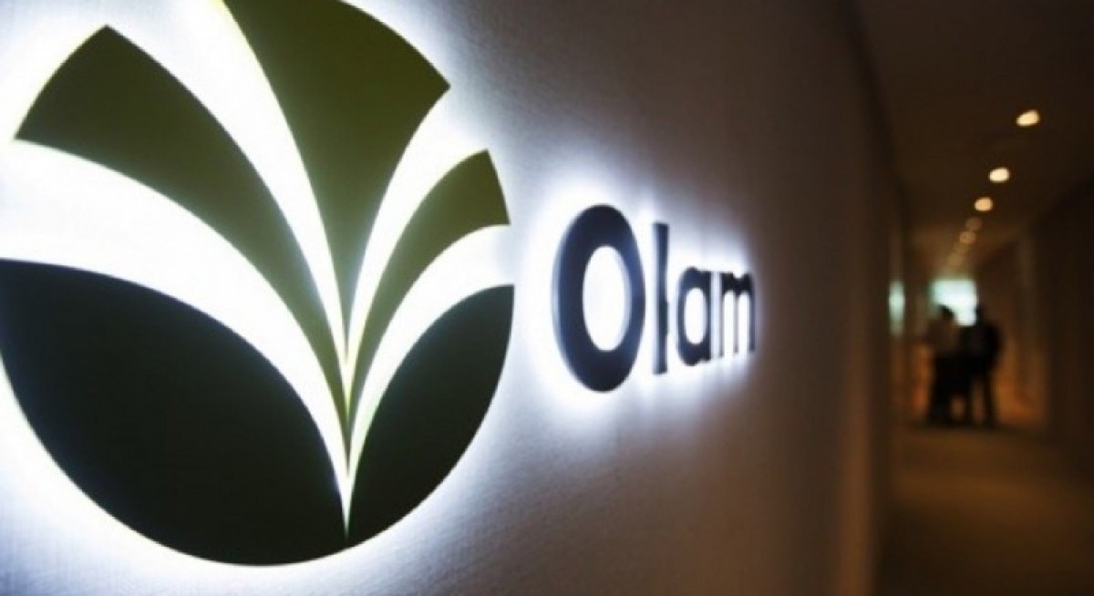 Olam 1HFY2025 patmi surges 573% to $323.8 mil, declares 2 cents per share dividend