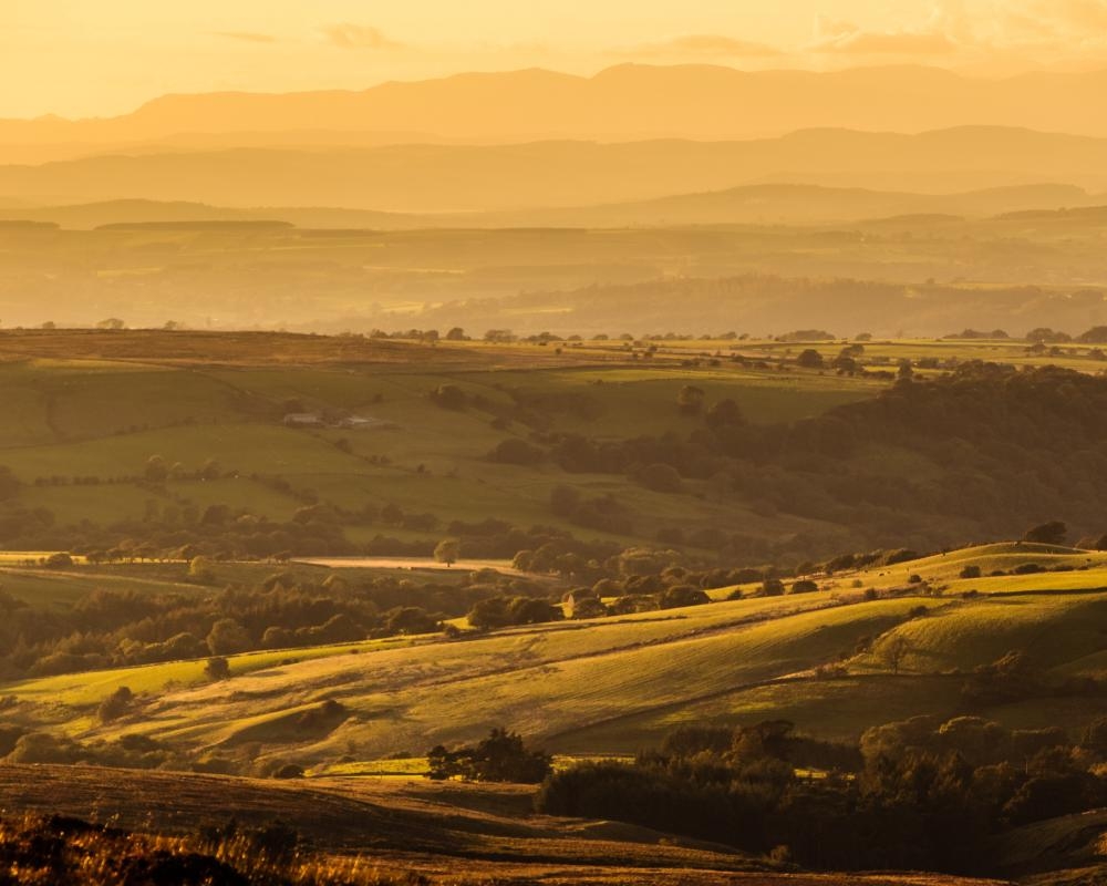 Revealed: 5,000 English nature sites at risk under Labour's planning proposals
