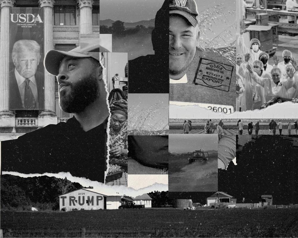 Trump vowed to help US farmers. These four say his policies are ‘wreaking havoc'