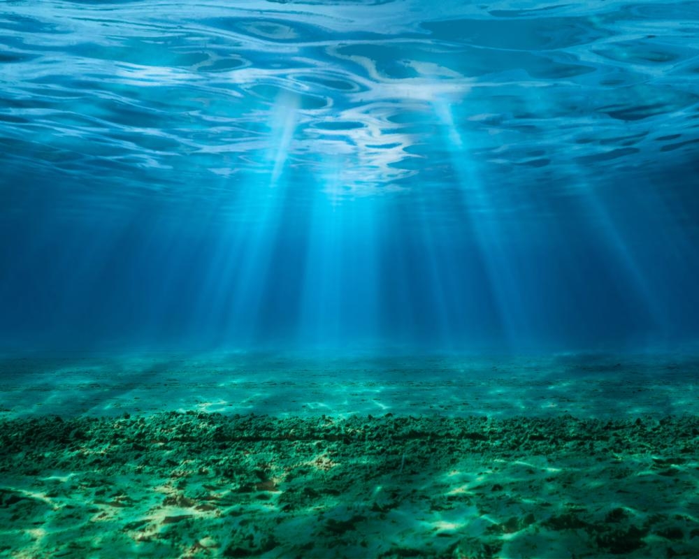 ‘Ticking timebomb': sea acidity has reached critical levels, threatening entire ecosystems