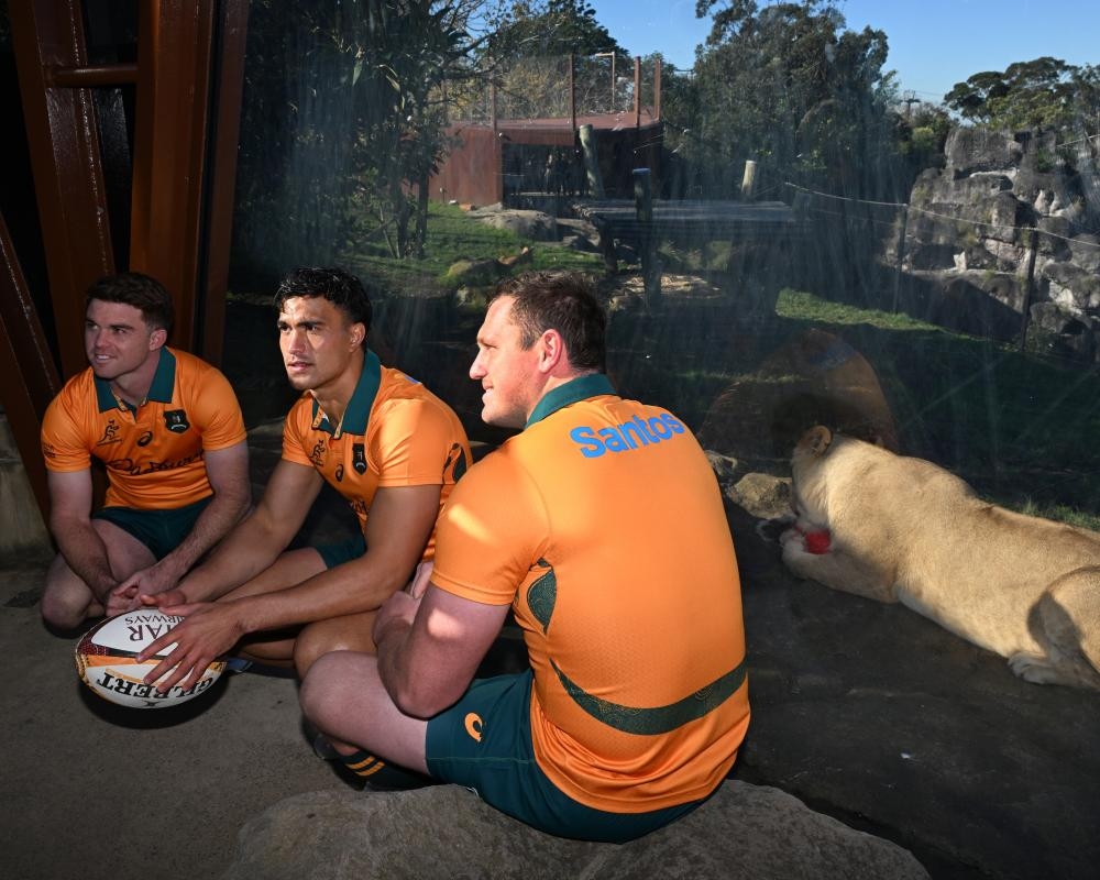 The 2025 Next Gen Wallabies sense Farrell's Lions are there for the taking