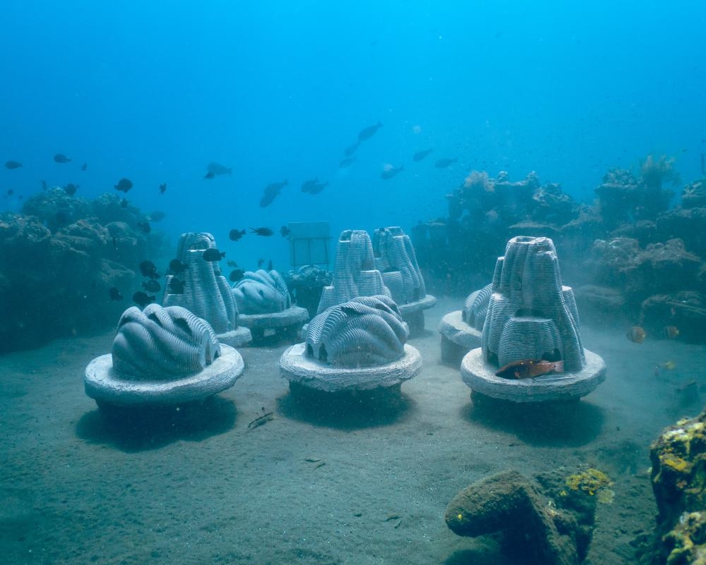 Reefs made from human ashes could revive British seabeds, says startup