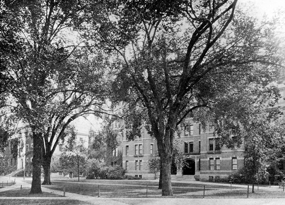 Harvard hired a researcher to uncover its ties to slavery. He says the results cost him his job: ‘We found too many slaves'