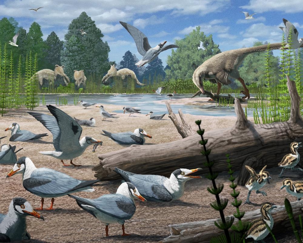 Birds were nesting in the Arctic during age of dinosaurs, scientists discover