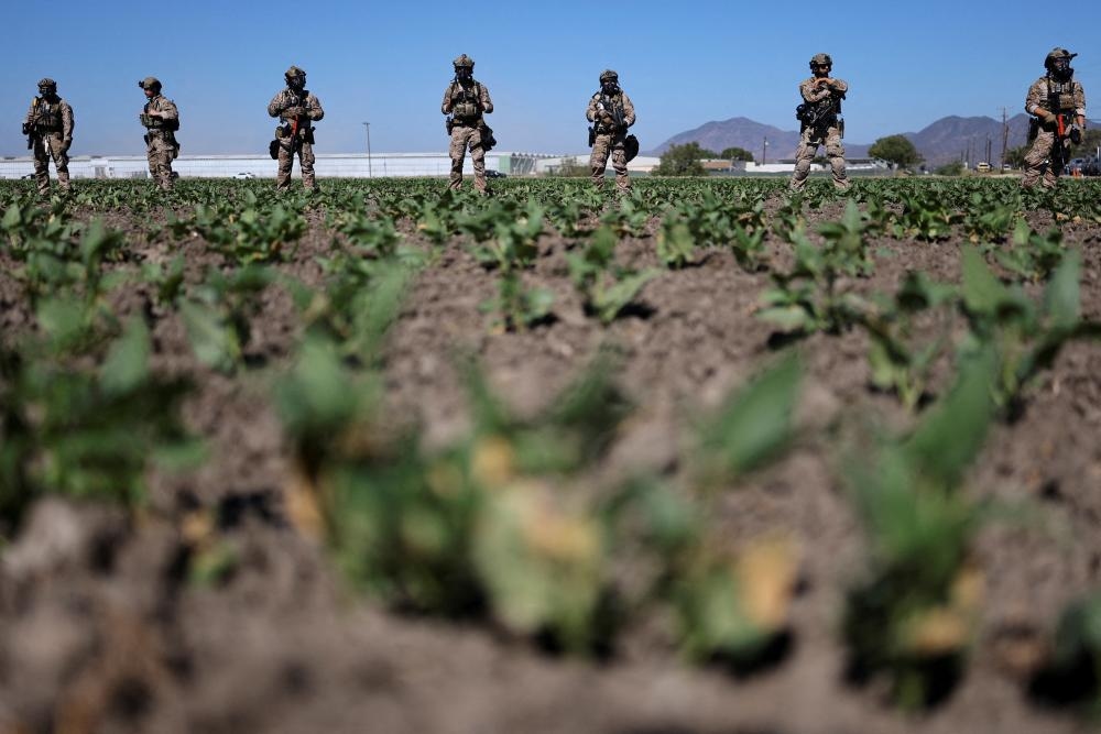 US undocumented farm workers feel ‘hunted like animals' amid Trump's immigration raids