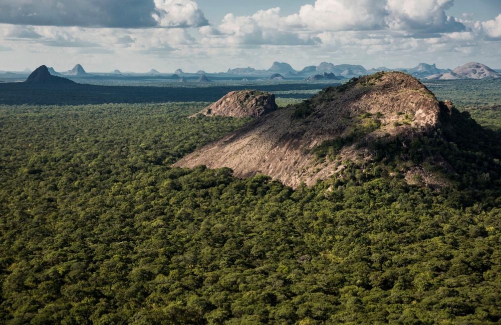 Ten dead in ‘brutal' attacks by Isis-linked militants on Mozambique wildlife reserve