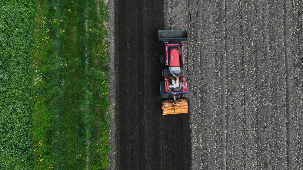 RFK Jr's report calls farmers the ‘backbone' of the US – but Trump's cuts hurt them