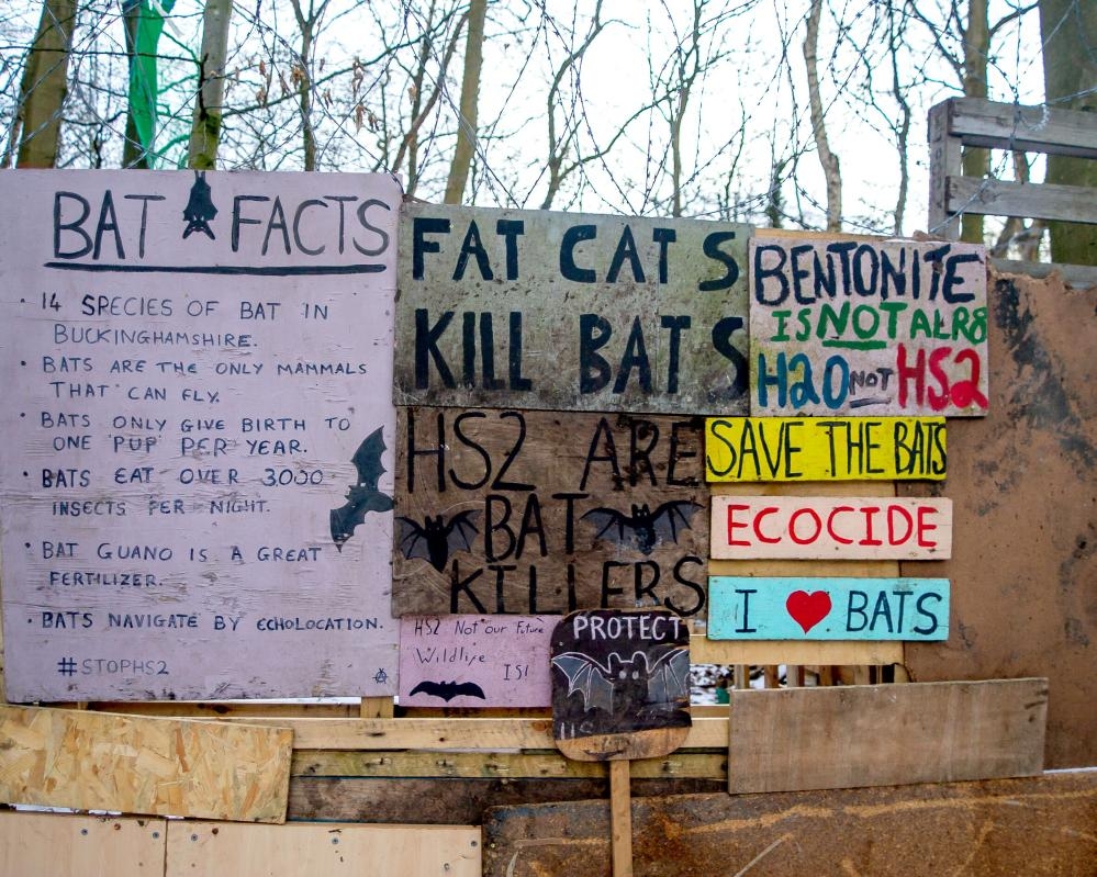 Wildlife charities urge Labour to scrap ‘licence to kill nature' in planning bill