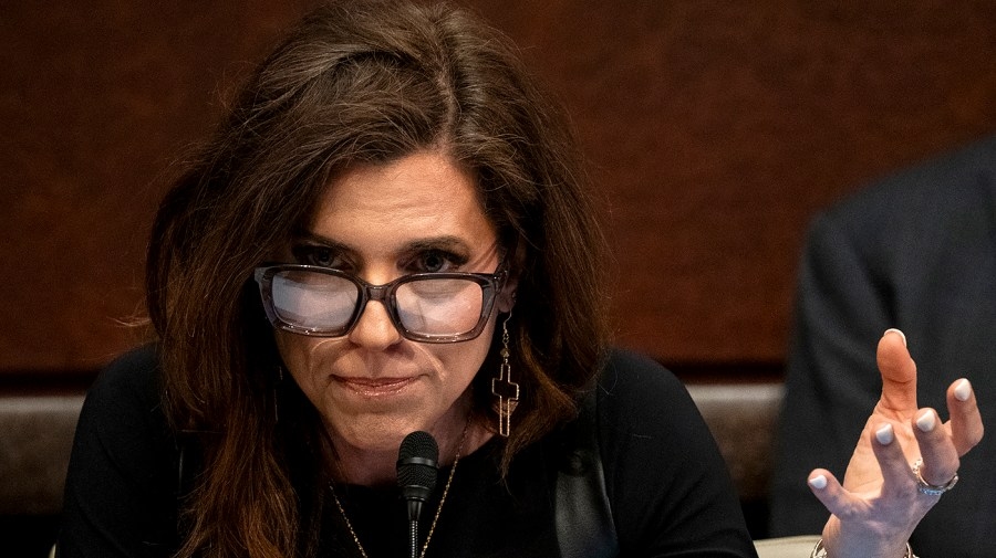 In hearing, Mace shows ‘naked silhouette' screenshot she says was recorded without her consent