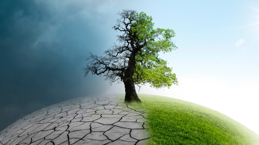 Opinion - Ignoring science for profit will have deadly consequences for America