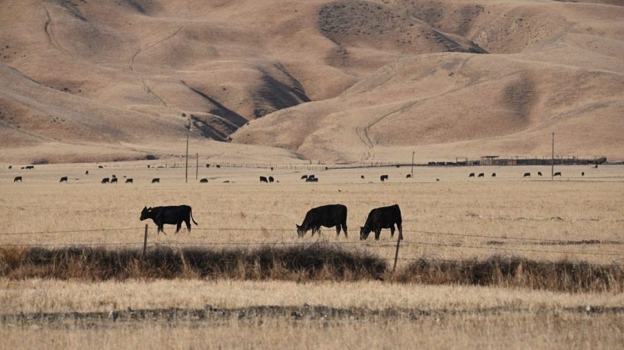 Climate change and aerosol pollution made drought inevitable in the US Southwest: Study