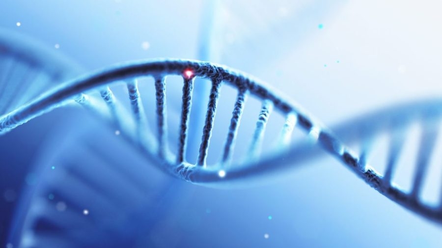 Opinion - America can't afford to fall behind China in the race for biotech dominance