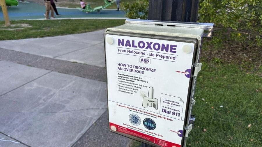 Opinion - Cutting federal naloxone funding is cruel and will prove costly