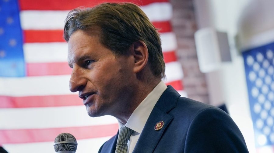 Dean Phillips: Democrats ‘pathetically' fighting DOGE ‘steamroller'
