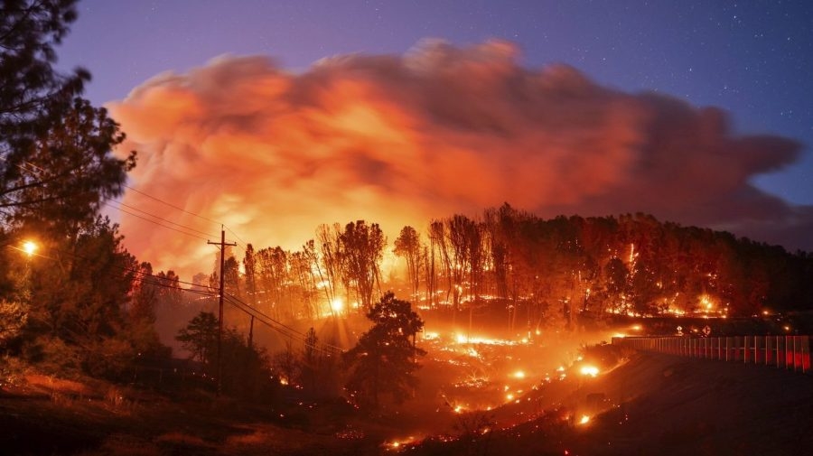 Wildfires are complicating cancer care: Study