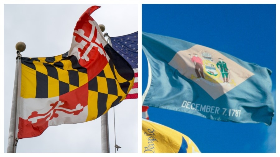A boozy battle: Maryland, Delaware in spirited debate to make ‘orange crush' their official cocktail