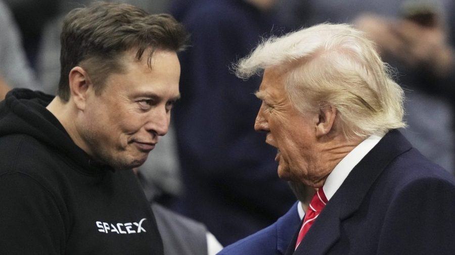 Comic: Trump, Musk feud shows they're both ‘in pain'