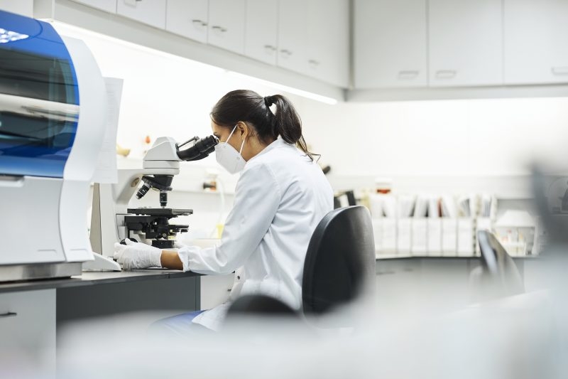Chinese researchers charged with smuggling fungus into Michigan