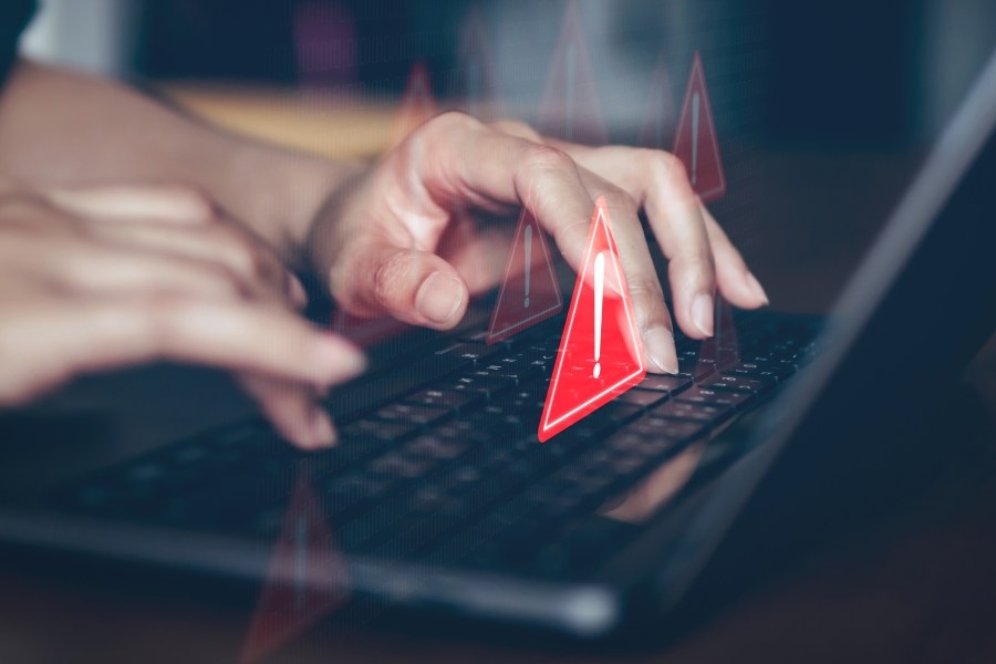 Opinion - Sadly, the scammers are winning — but our government can help.