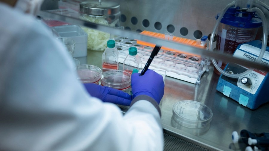 Opinion - NIH funding cuts imperil lifesaving drugs and US prosperity