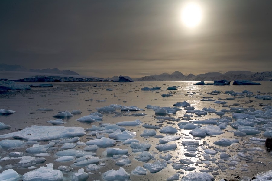 Toxic ‘forever chemicals' have infiltrated Antarctic waters: Study