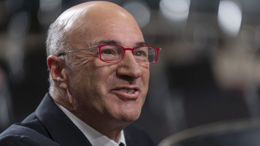 O'Leary: Musk just learned Washington ‘an incredibly nasty place'