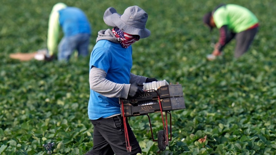 Opinion - Mass deportations are popular, but they have economic consequences