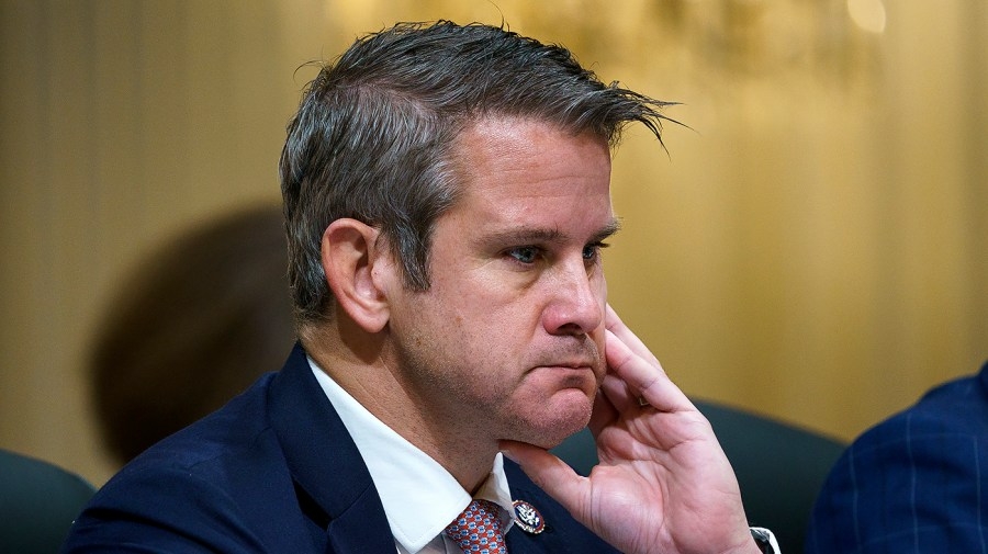Kinzinger on Democrats' response to Trump's first week: ‘Crickets'