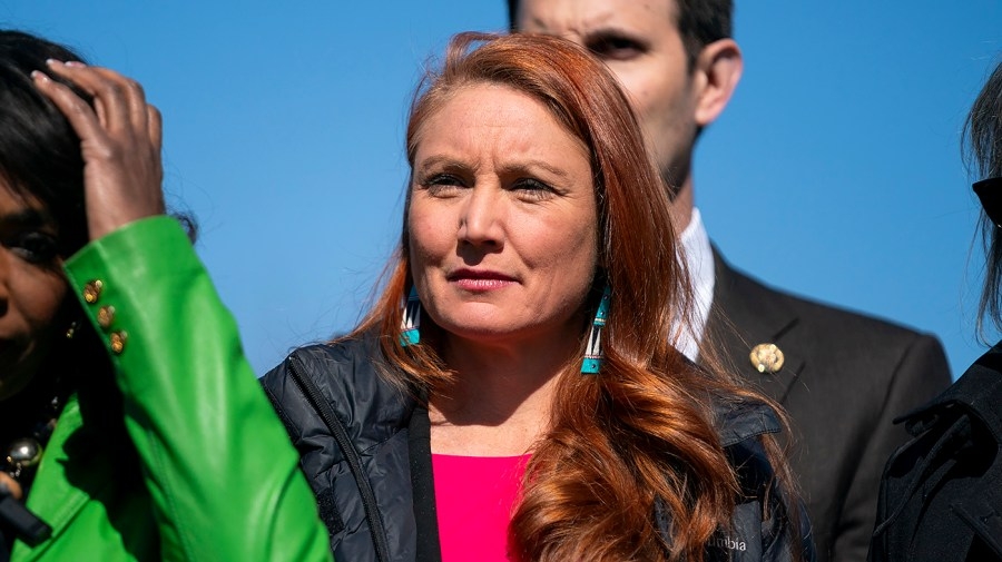 House Democrat: It'll take ‘many years' to ‘rebuild' from Musk ‘destruction'