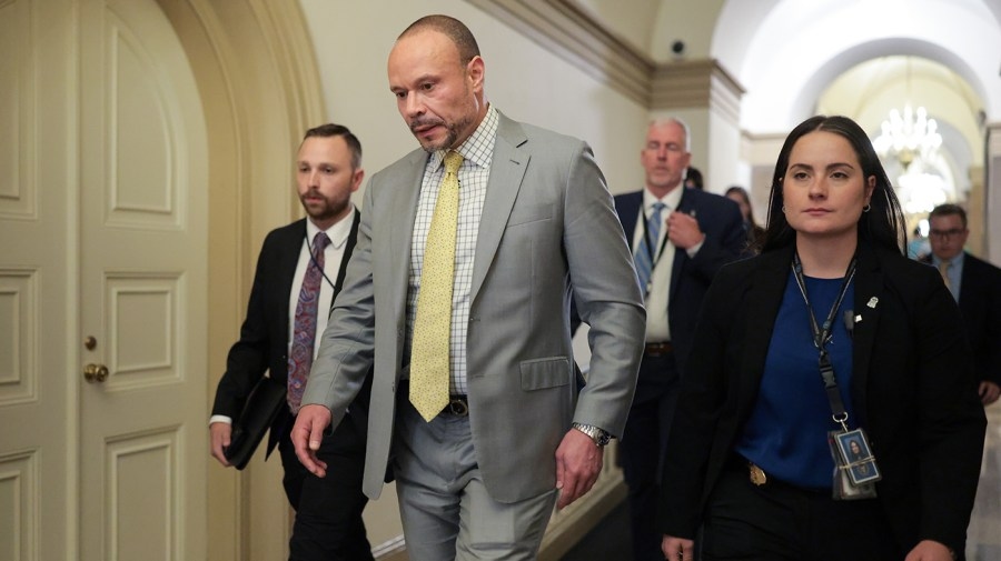 Epstein files uproar puts spotlight on Dan Bongino