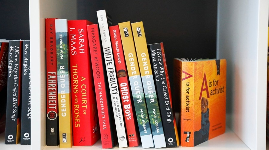 Department of Defense sued over book removals, curriculum changes in its schools