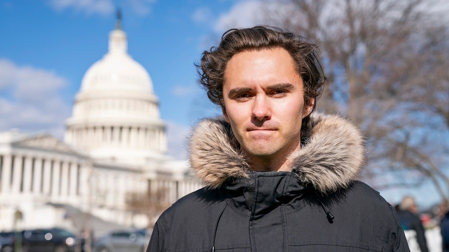 Hogg on Democratic primaries: ‘There are older people who are great'