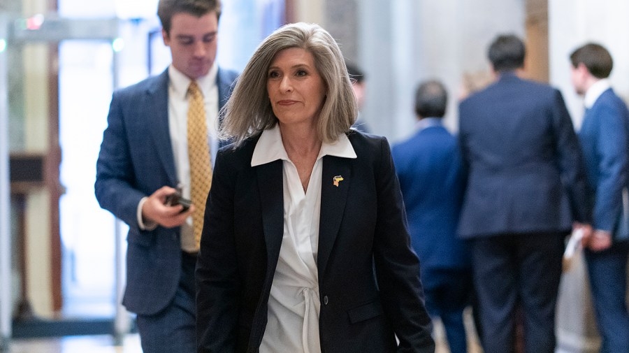Ernst responds to jeers on Medicaid cuts: ‘Well, we're all going to die'