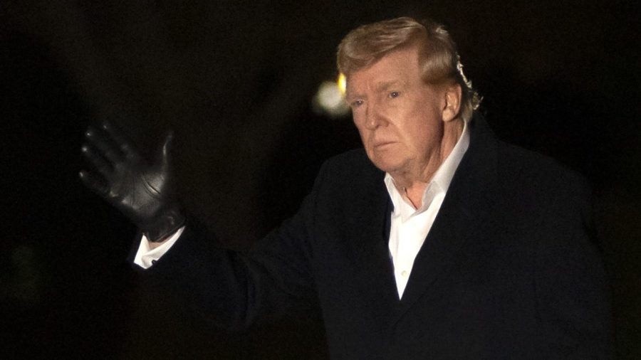 Opinion - Are Trump and Musk killing all the lawyers?